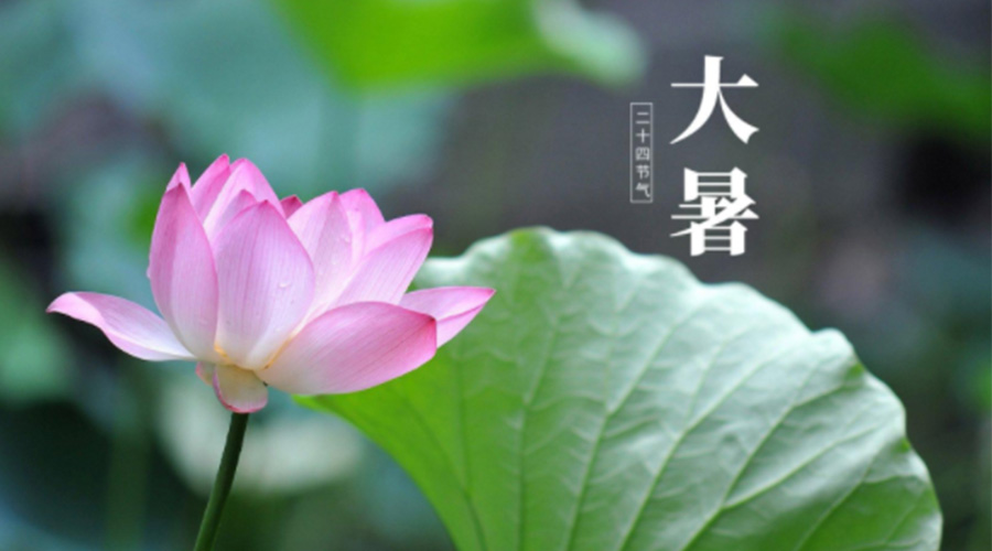 大暑時節(jié)！金環(huán)電器提醒大家注意這些干衣細節(jié)