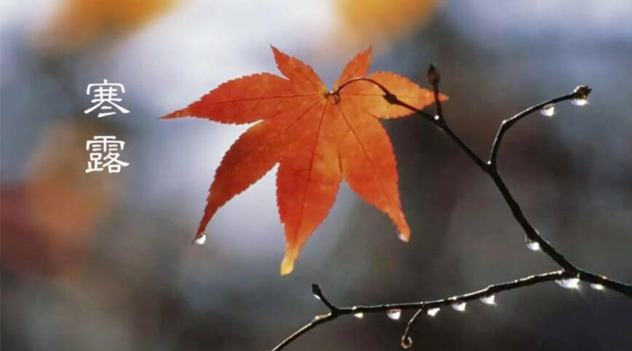 寒露時(shí)節(jié)！金環(huán)電器提醒大家要注意的事項(xiàng)