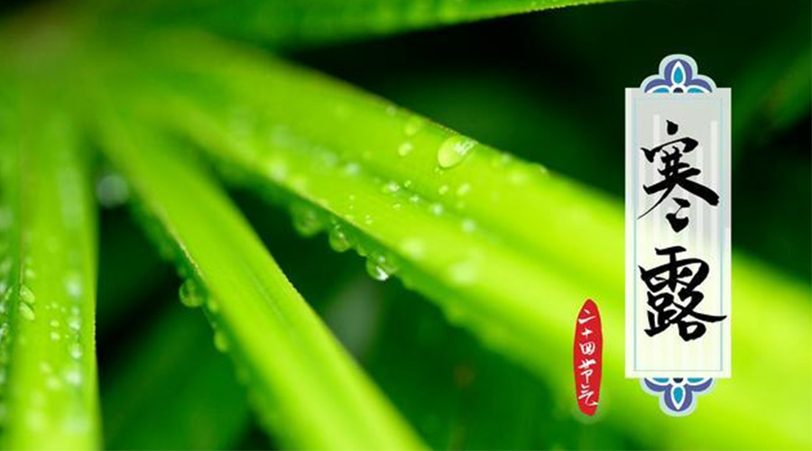 寒露時(shí)節(jié)到！金環(huán)電器提醒這些干衣事項(xiàng)要注意