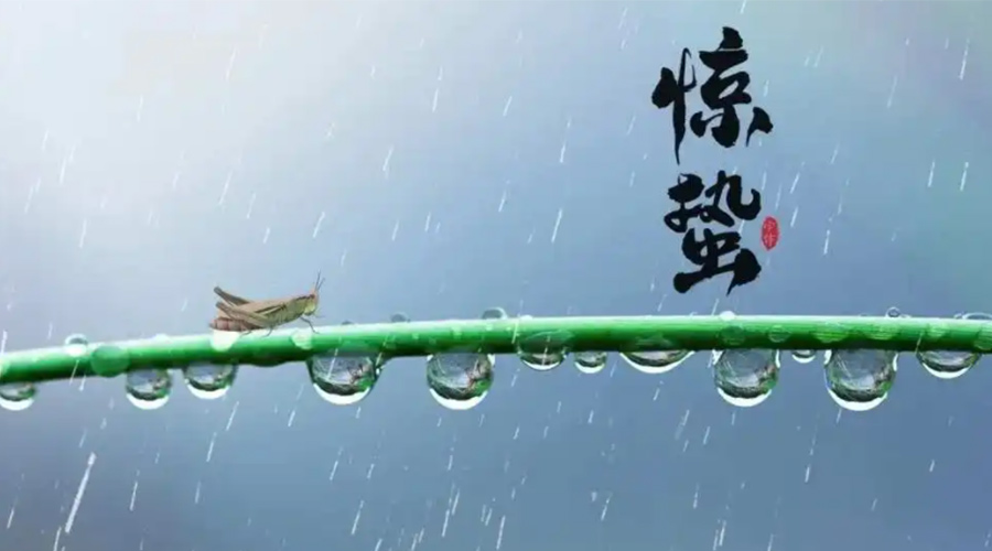 驚蟄時節(jié)！金環(huán)電器提醒大家干衣要注意這些