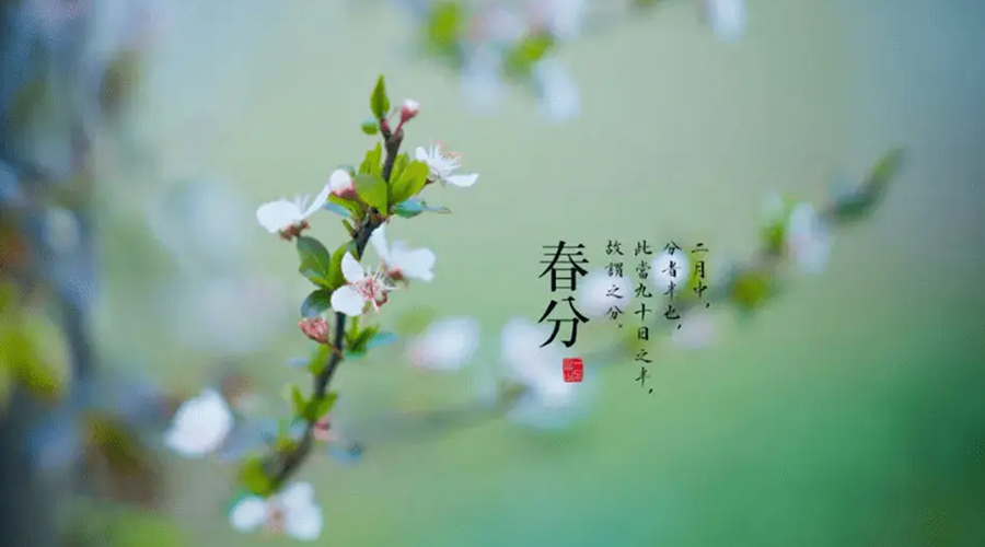 春分雨水多易生菌！金環(huán)電器提醒你衣物要注意處理