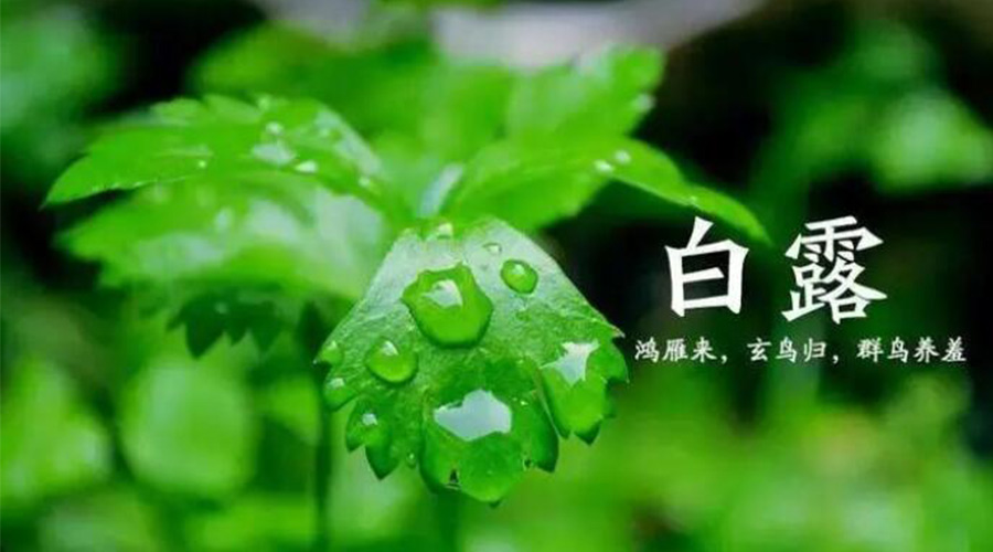 白露時節(jié)！金環(huán)電器提醒大家要注意的事項