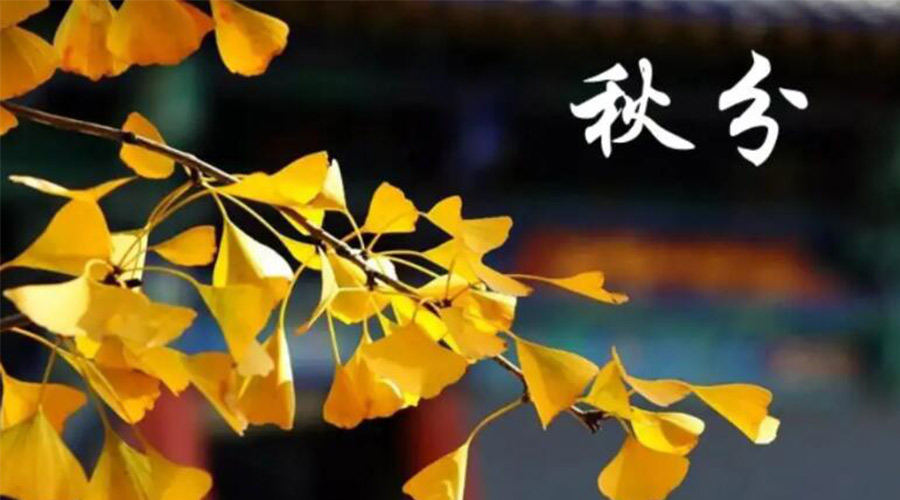 秋分時節(jié)！金環(huán)電器提醒大家要注意的事項