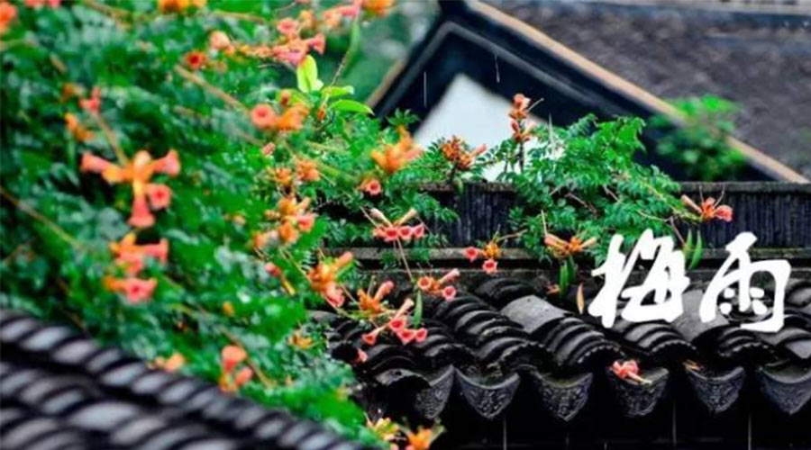 什么是梅雨？梅雨如何形成？  金環(huán)電器告訴你答案